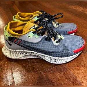 Nike Trail Pegasus GTX